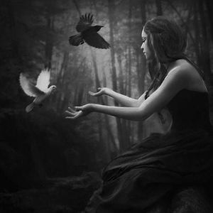 Meet your Posher, Donielle